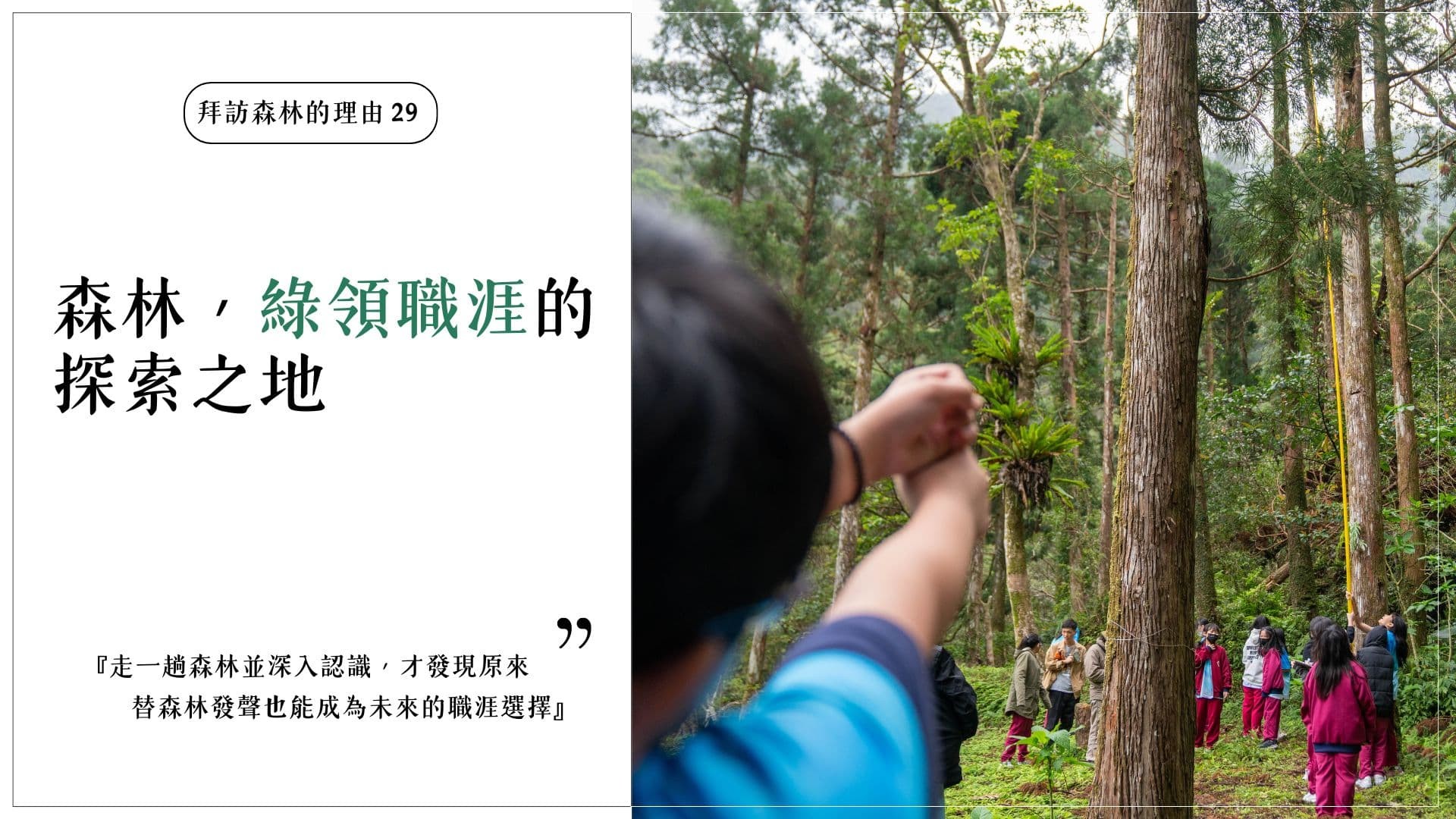【拜訪森林的理由29－森林，綠領職涯的探索之地】